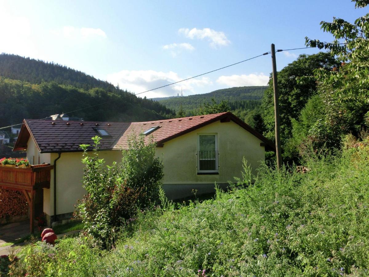 Cottage Near A Ski Resort Winterstein Εξωτερικό φωτογραφία