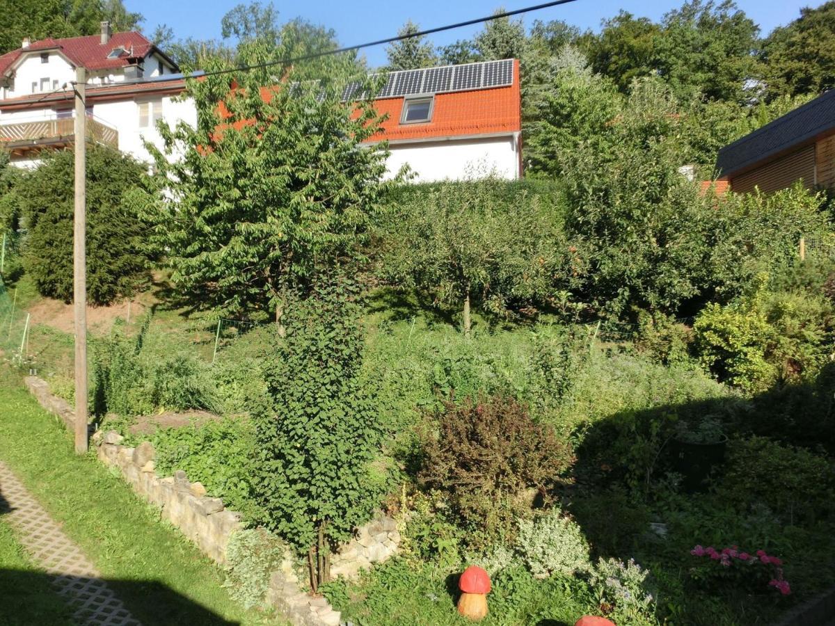 Cottage Near A Ski Resort Winterstein Εξωτερικό φωτογραφία